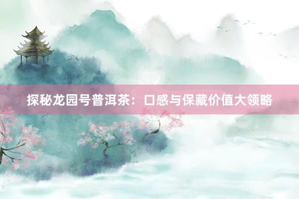 探秘龙园号普洱茶：口感与保藏价值大领略